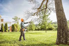 Best Tree Mulching Services  in Greenwood, DE