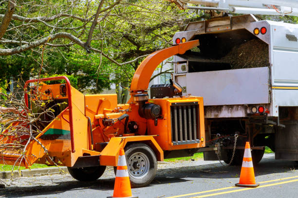 Why Choose Our Tree Removal Services in Greenwood, DE?